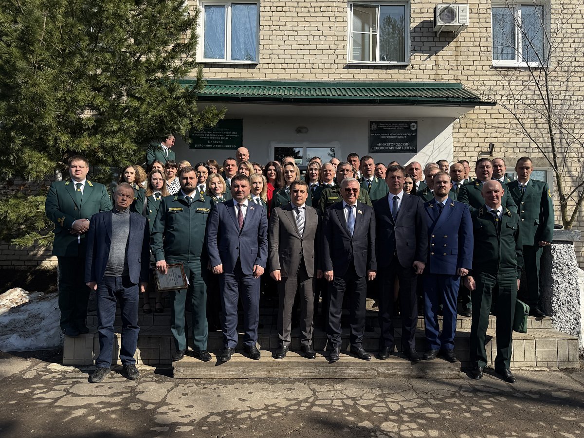 45 нижегородских лесников и охотоведов наградили за вклад в сохранение лесов