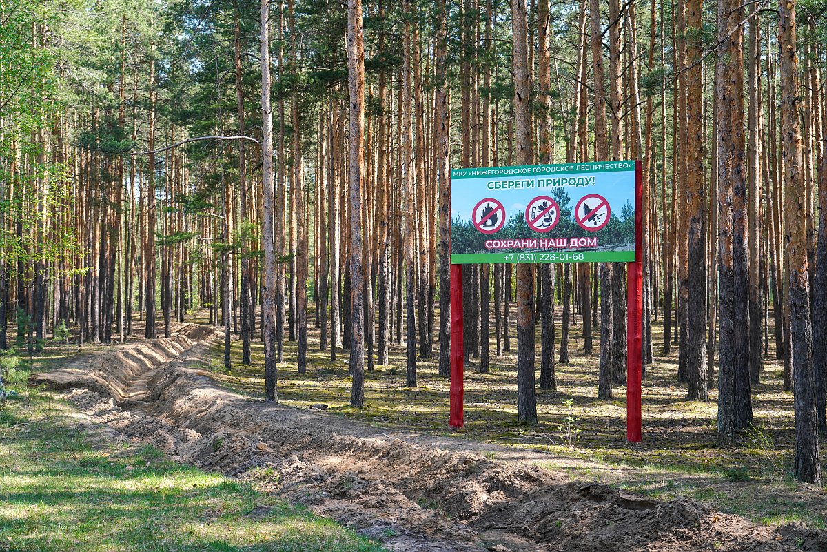 Под особым контролем: в Нижнем Новгороде ввели второй класс пожарной опасности