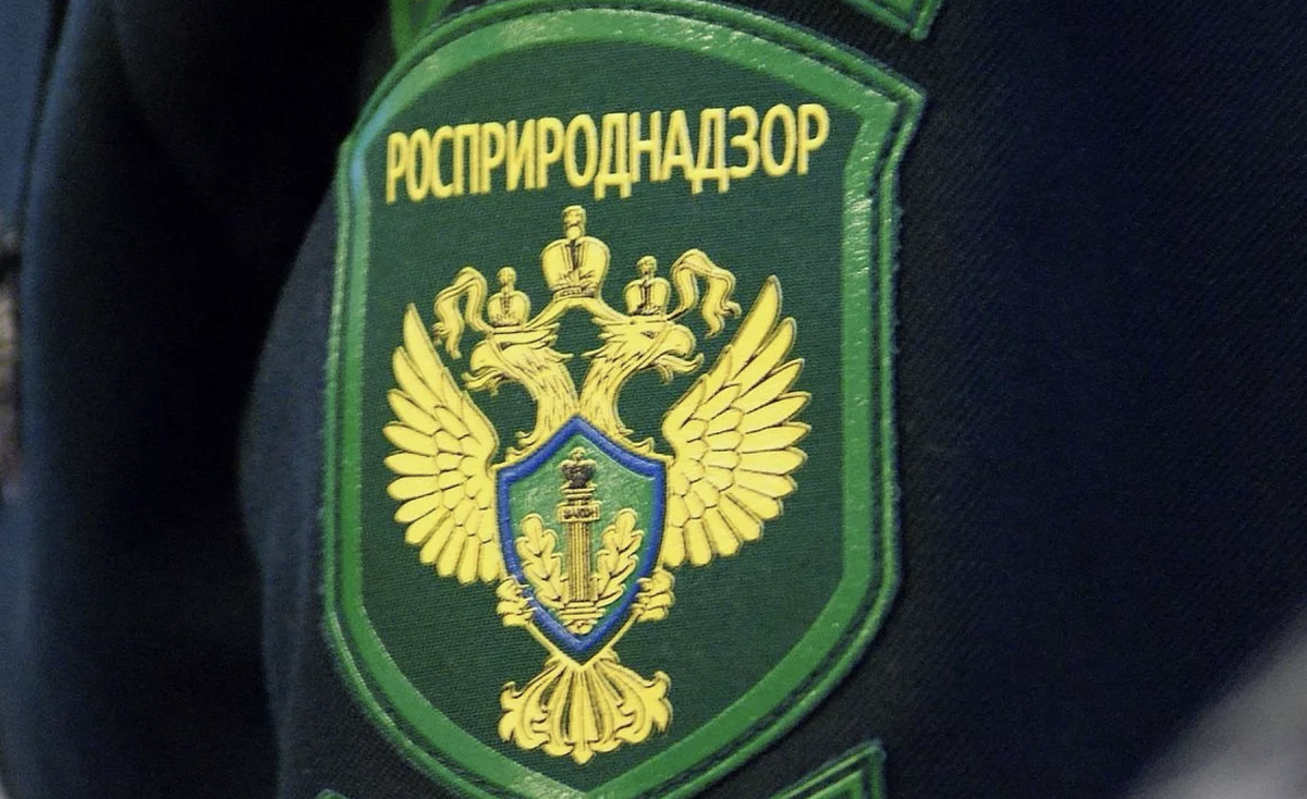 Мэрию Нижнего Новгорода обязали выплатить более 2 млн р. за загрязнение почвы