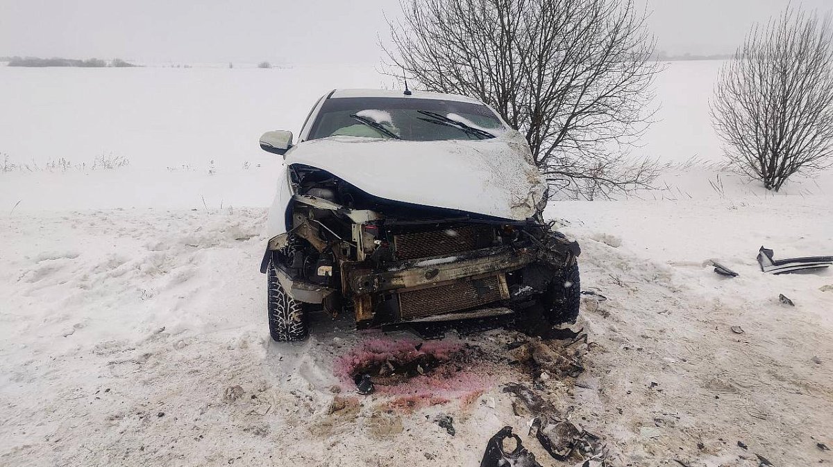 В Нижегородской области за сутки в ДТП пострадали 13 человек