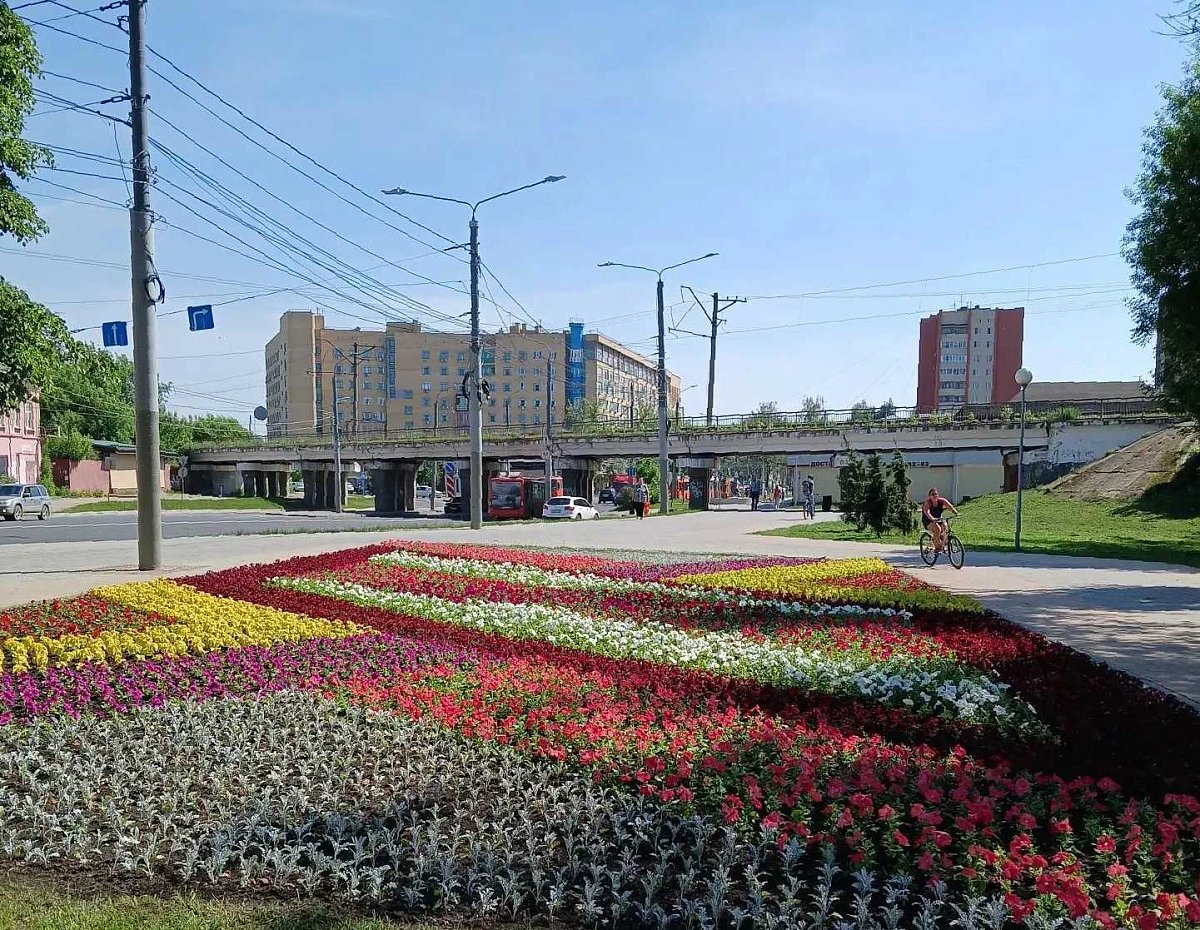 В Сормовском районе высадят цветы на площади более 3 тыс. кв м