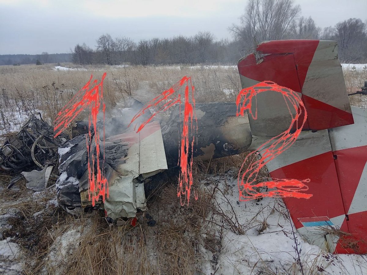 Легкомоторный самолет рухнул в Нижегородской области: есть пострадавшие