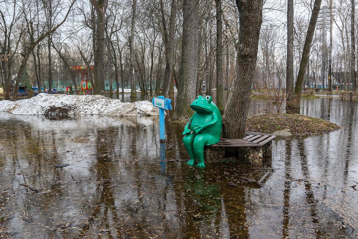 Паводок в Арзамасе: на реке Теше побит рекорд уровня воды