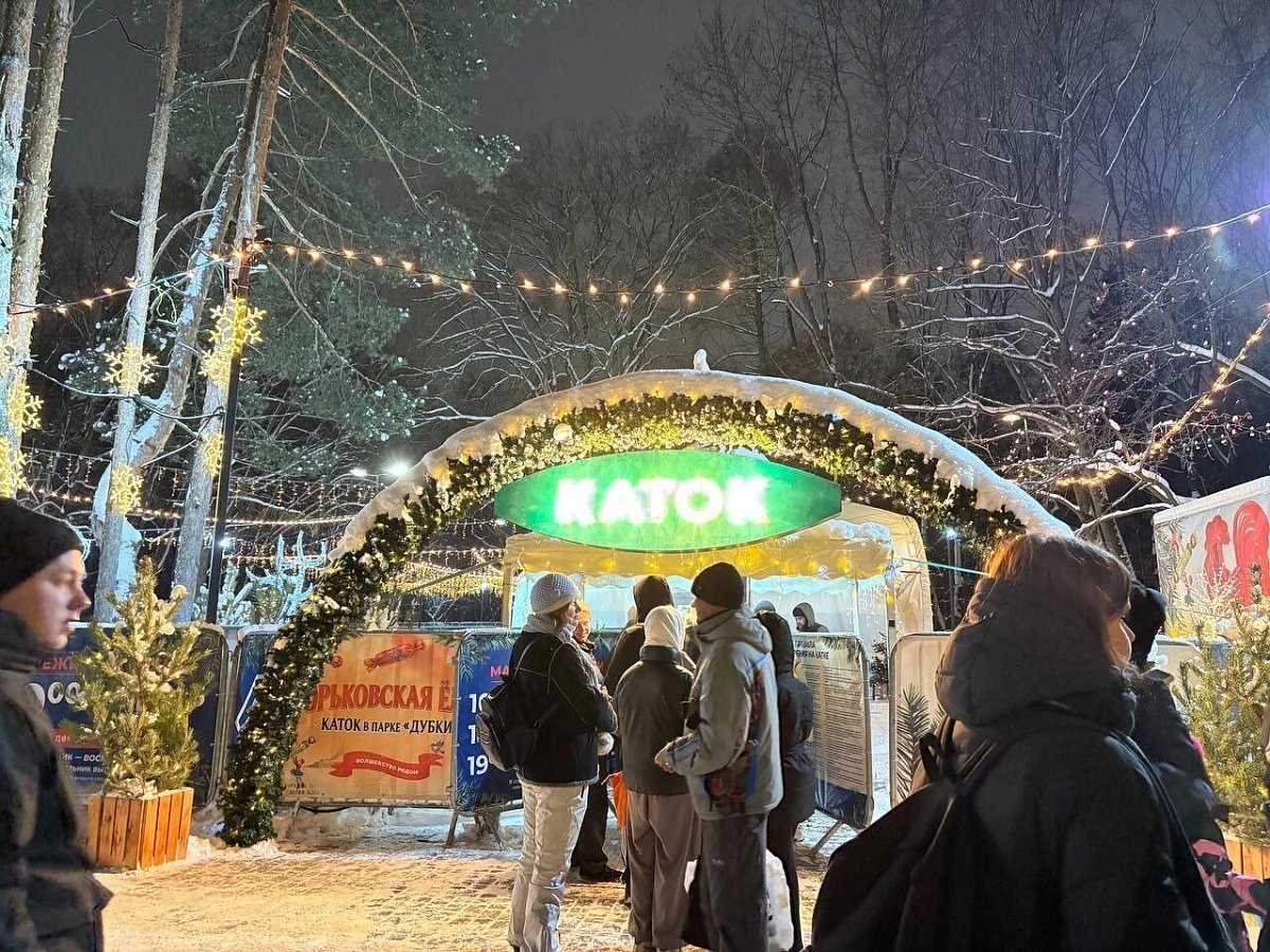 На двух катках Нижнего Новгорода ввели ограничения из-за метели